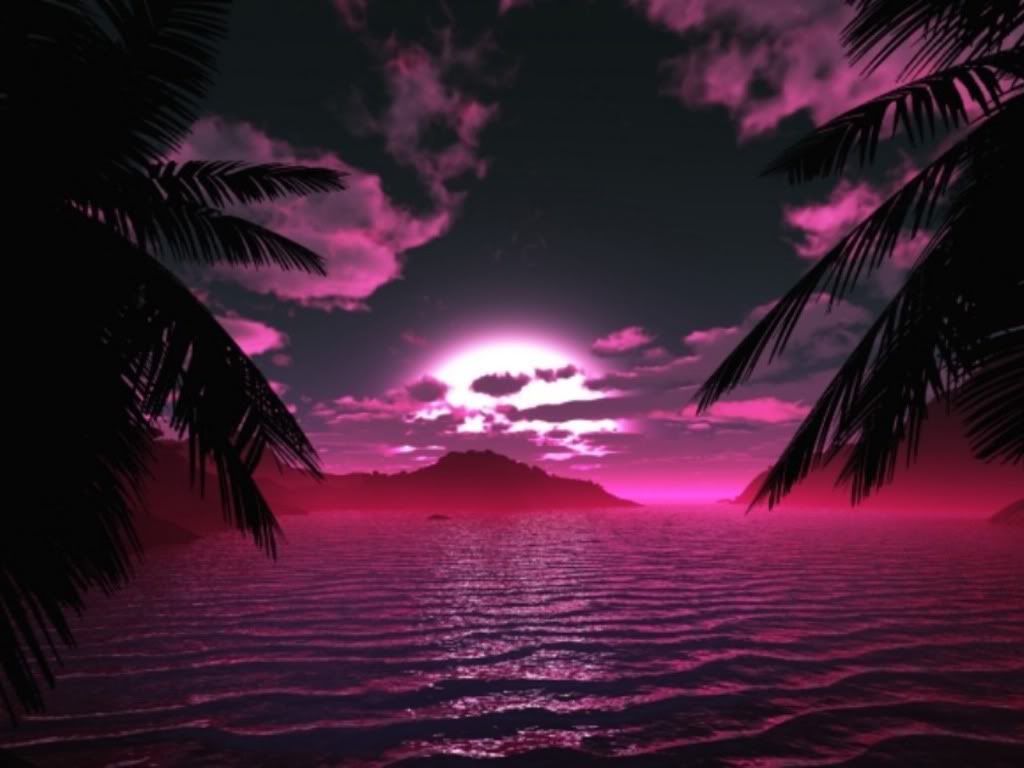 Pink Paradise Photo by cryptcreepist Photobucket